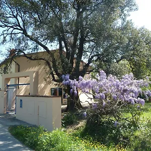 Al Vecchio Leccio Casa di campagna Pistoia