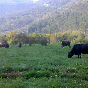 Biobiò Alloggio per agriturismo Vobarno